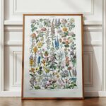 collection complète de fleurs du monde, planche botanique vintage de 1948