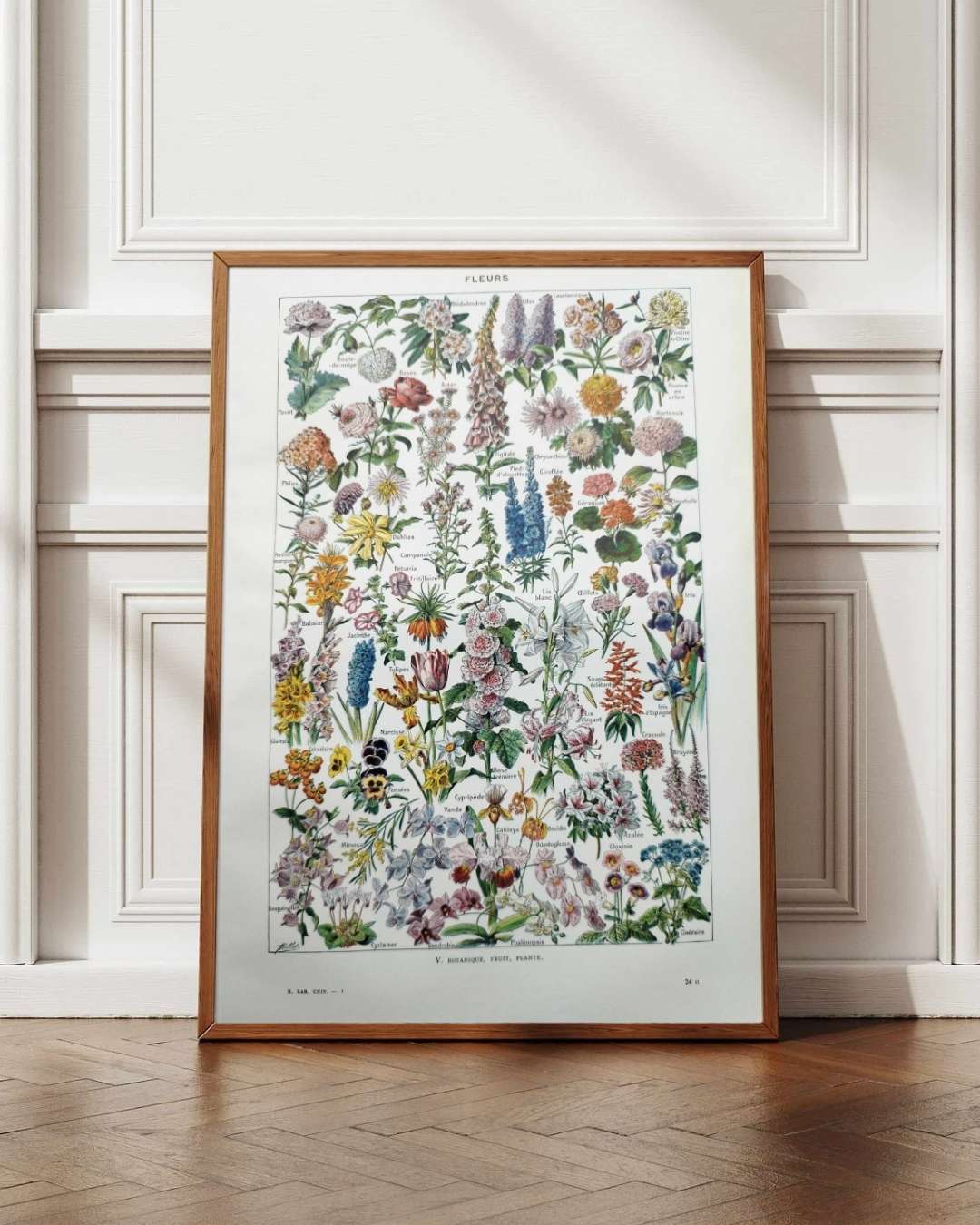 collection complète de fleurs du monde, planche botanique vintage de 1948