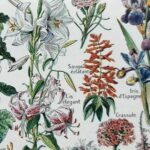 collection complète de fleurs du monde, planche botanique vintage de 1948